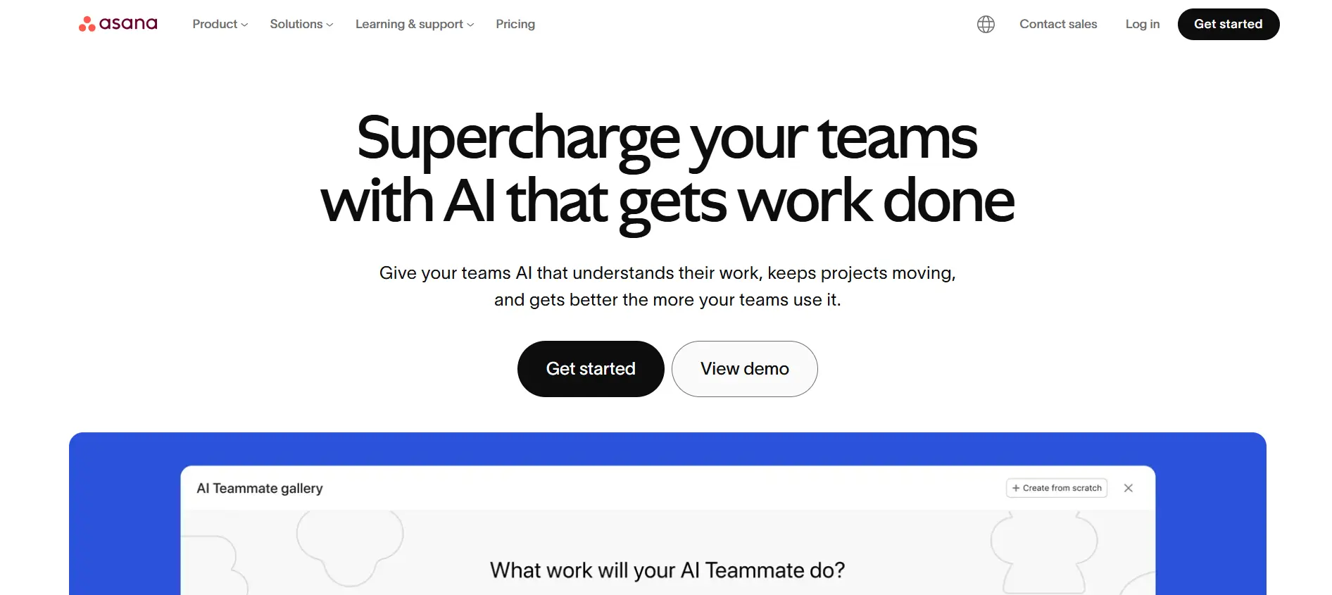 Asana project management interface